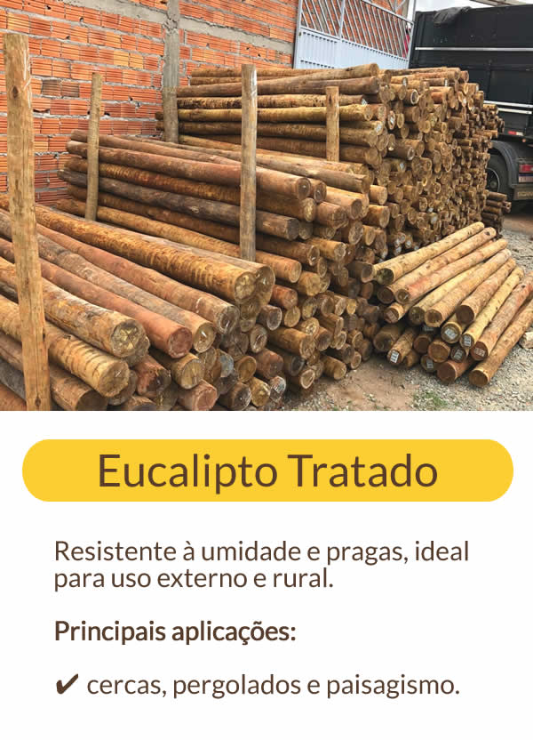 eucalipto